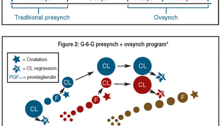 Presynch charts