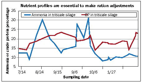 Nutrient profiles are essential to make ration adjustments
