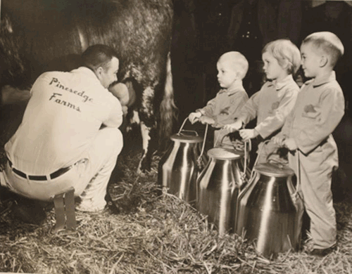 Sam Yoder, All American Dairy Show