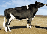 29HO10124 End-Road PVF BOLIVER