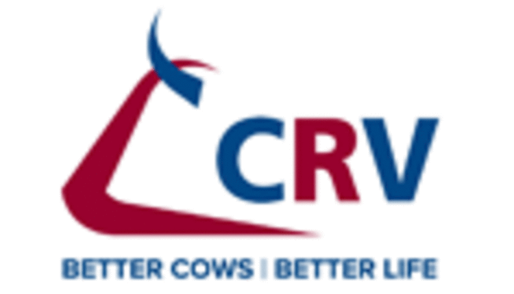 CRV