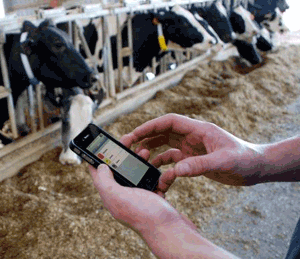 GEA Handheld CowScout