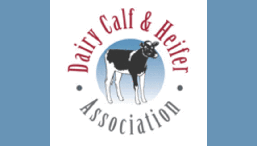 Dairy Calf and Heifer Association