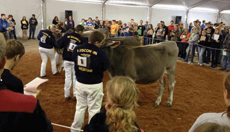 FFA judging at World Dairy Expo