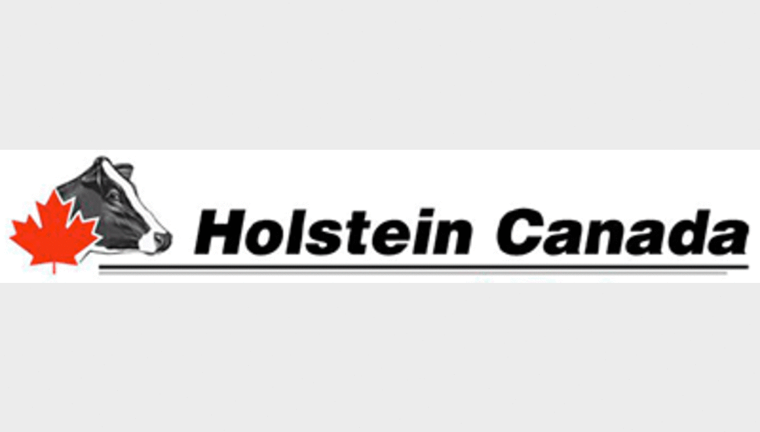 Holstein Canada