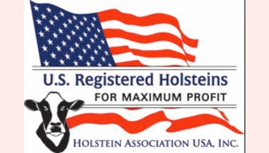 Holstein Association USA