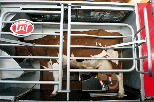 Lely Astronaut