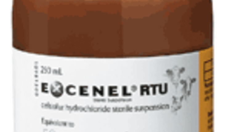 Pfizer-Excenel-RTU-250ml