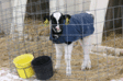 Purina Animal Nutrition photo