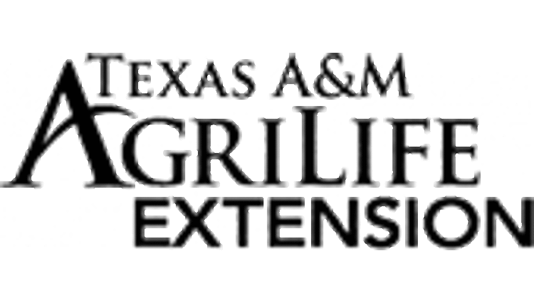 Texas A&M Extension