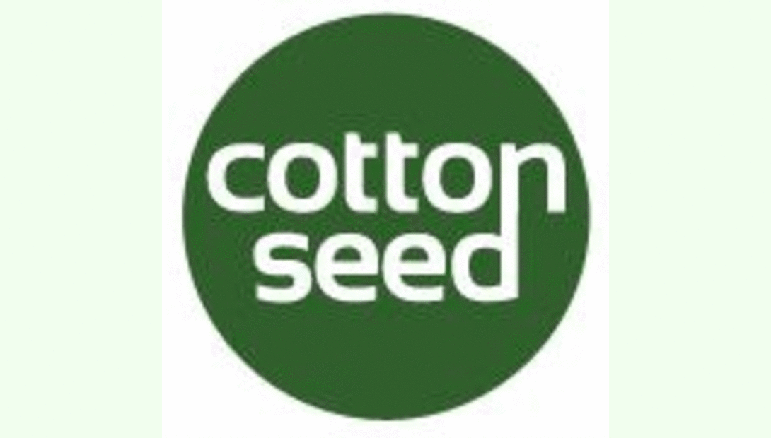 Cotton Seed