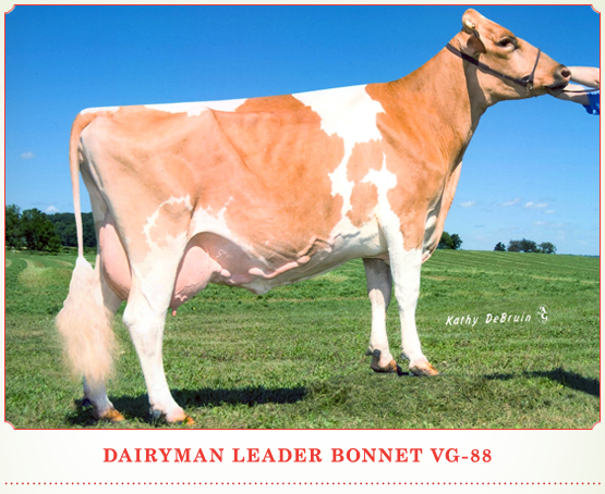 Dairyman Leader Bonnet