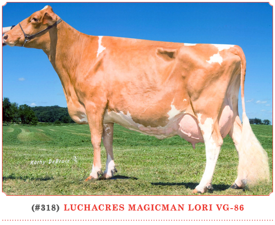 Luchacres Magicman Lori