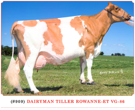 Dairyman Tiller Rowanne