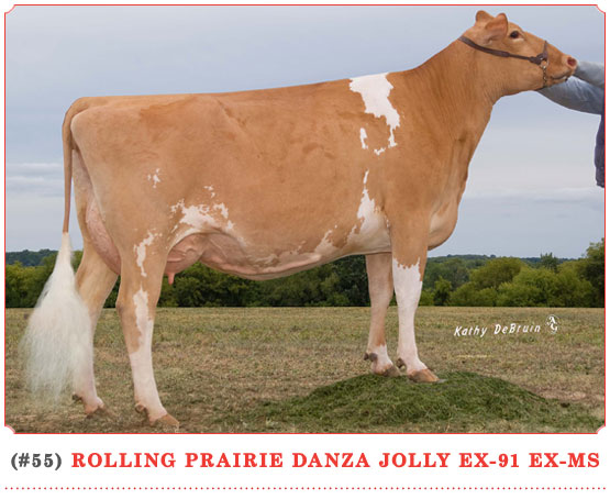 Rolling Prairie Danza Jolly