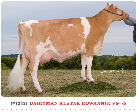 Dairyman Alstar Rowannie