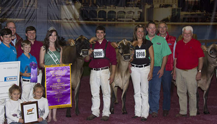 Grand Champion Jersey