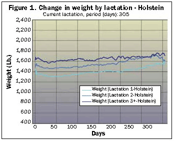 change in body weight by lactation for Holsteins