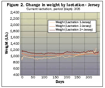 change in body weight by lactation for Jerseys