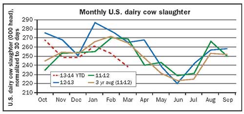 Monthly U.S. dairy cow slaughter data