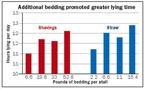 additional bedding promoted greater lying time