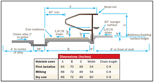 dimensions of a tie stall barn stall