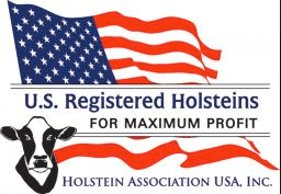 Holstein USA