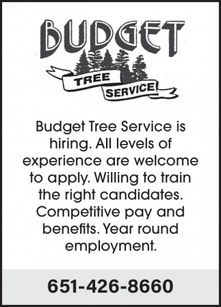 Budget Tree Service
