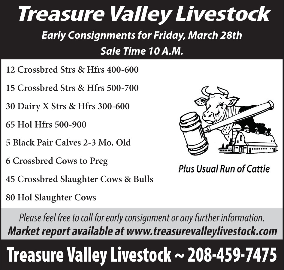 Early Consignments for Friday, March 28th, Treasure Valley Livestock, Caldwell, ID