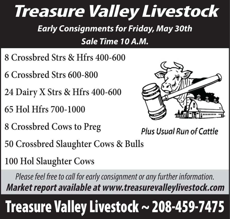 Early Consignments for Friday, May 30th, Treasure Valley Livestock, Caldwell, ID