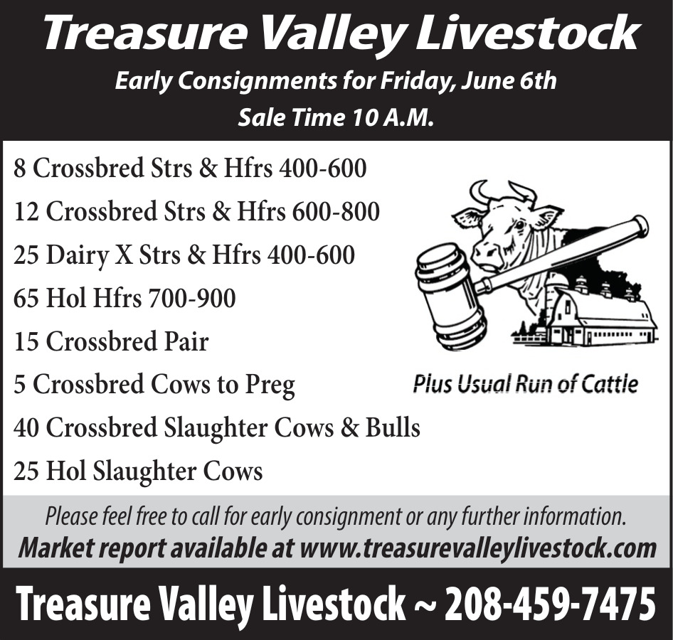Early Consignments for Friday, June 6th, Treasure Valley Livestock, Caldwell, ID