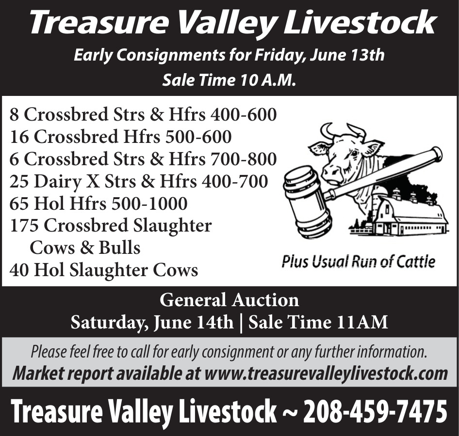 Early Consignments for Friday, June 13th, Treasure Valley Livestock, Caldwell, ID