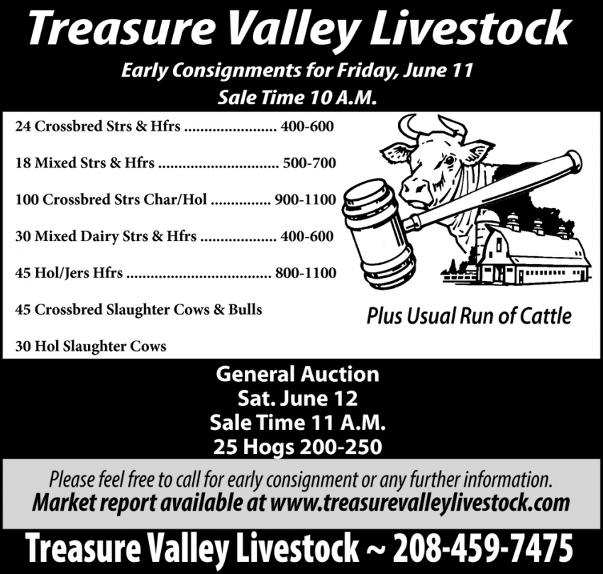 Early Consignments For Friday, June 11