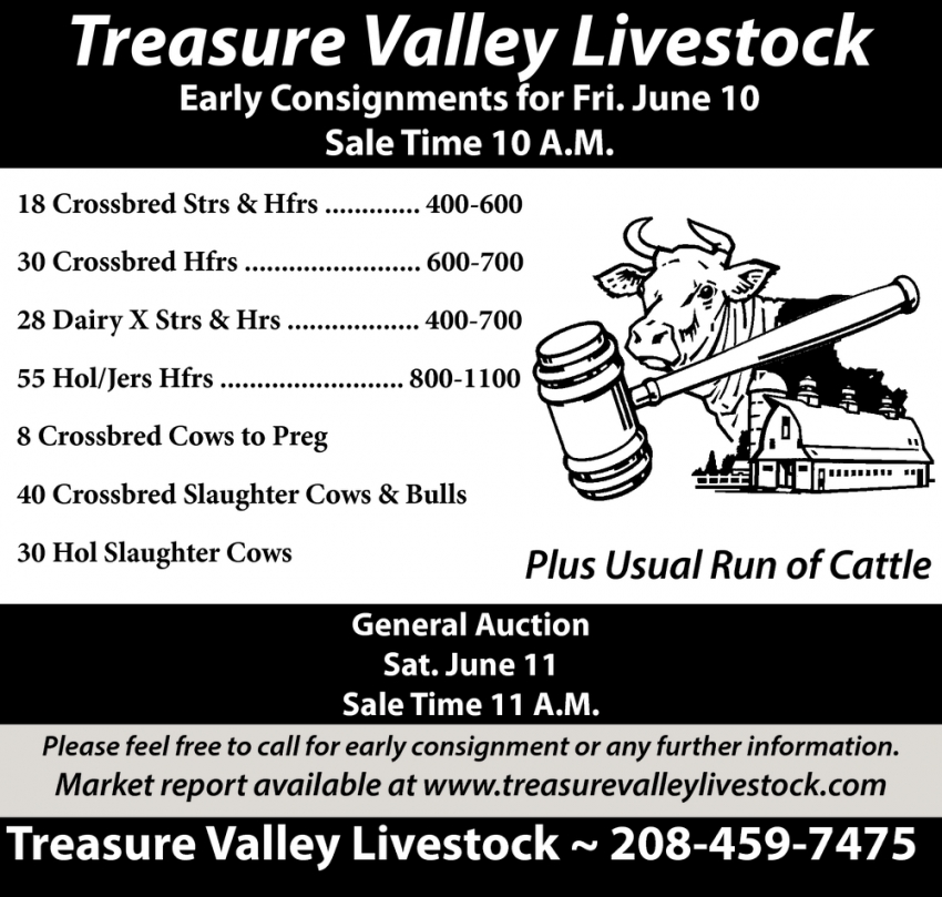 Early Consignments for Friday June 10