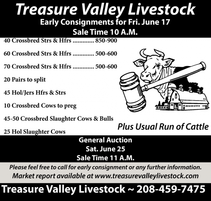 Early Consignments for Friday June 17