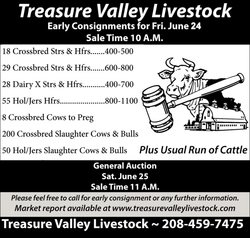 Early Consignments for Friday June 24