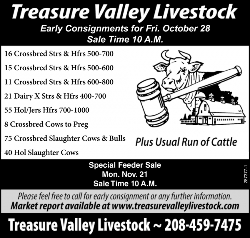 Early Consignment for Friday October 28
