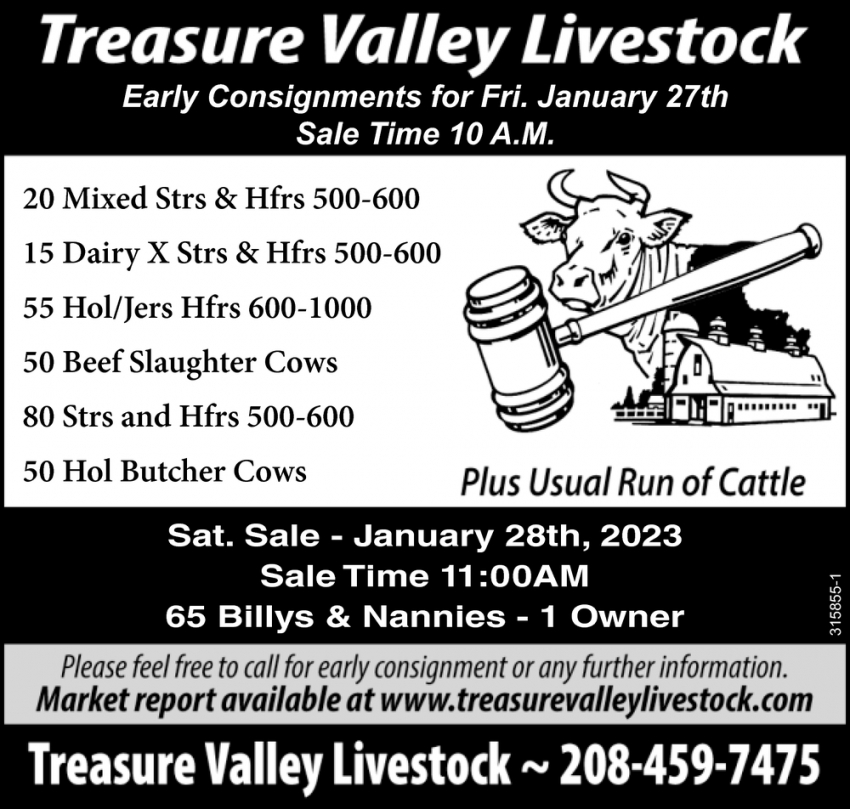 Early Consignments for Friday January 27th