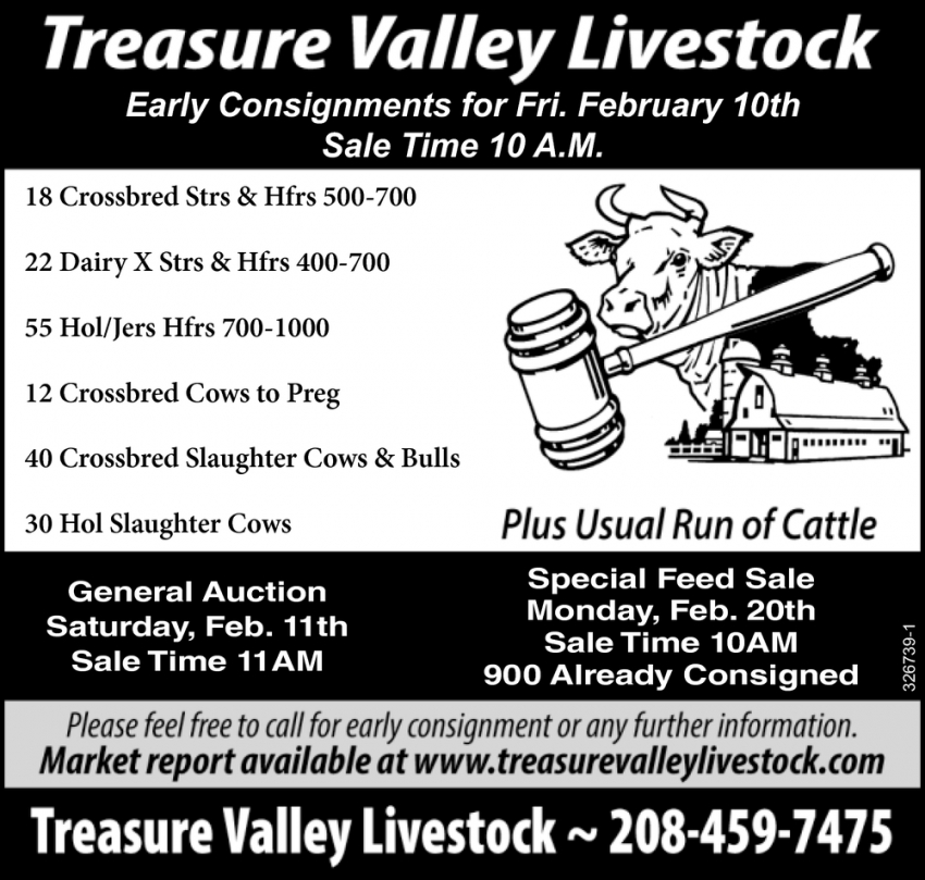 Early Consignments for Friday February 10th