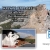 Ways to Explore Galleries, The Mountain & Events