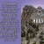 Visit Mount Rushmore