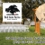 Outdoor Event Space