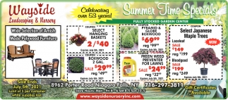 Summer Time Specials