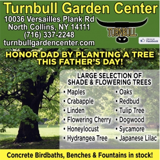 Large Selection Of Shade & Flowering Trees