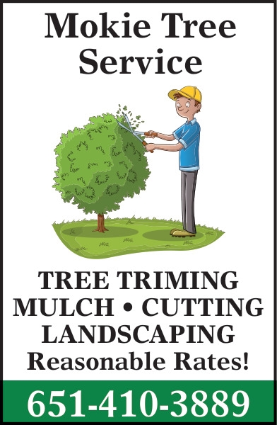 Tree Trimming Mulch