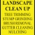 Landscape Clean Up