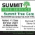 Tree Service