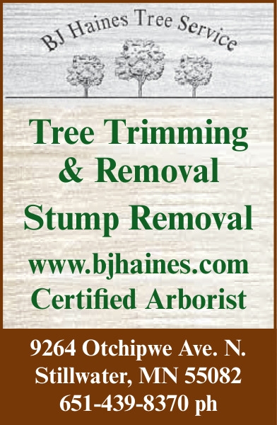 BJ Haines Tree Service