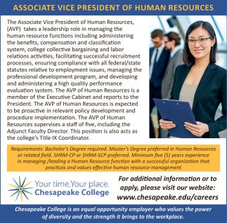 Associate Vice President of Human Resources