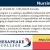 Medical Surgical Nurse